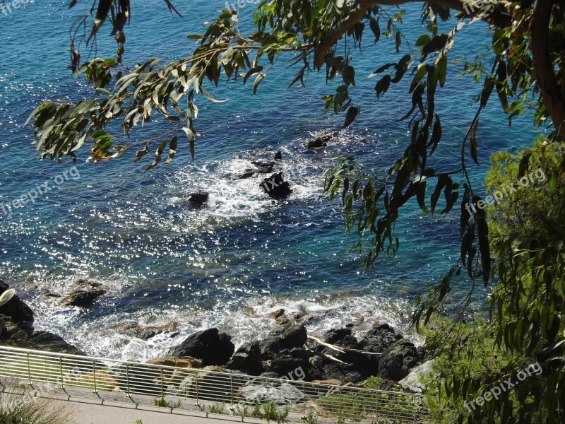 Varazze Savona Sea Cliff Free Photos