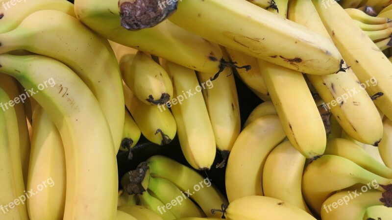 Bananas Ripe Agriculture Fruit Harvest