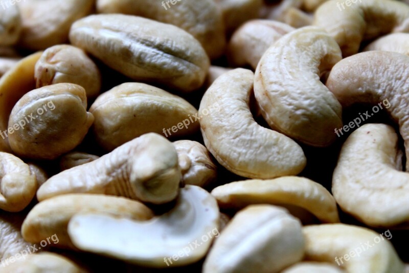 Cashew Nuts Fruits Food Nutrition