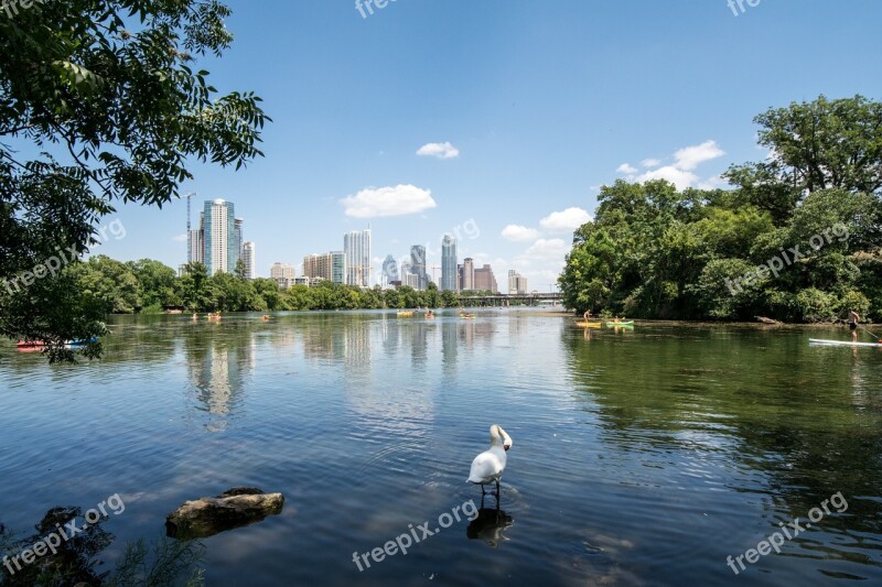 Austin Texas Lake Ladybird Town Lake