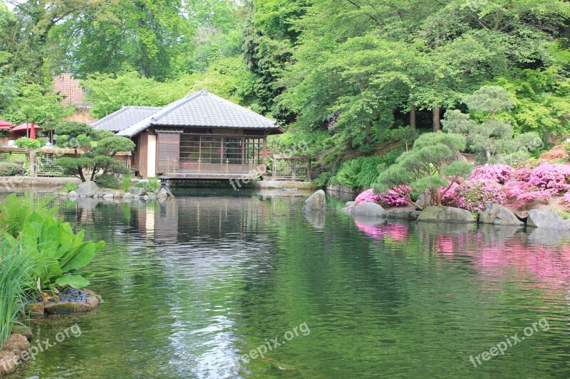 Kaiserslautern Japanese Japanese Garden Garden Azalea