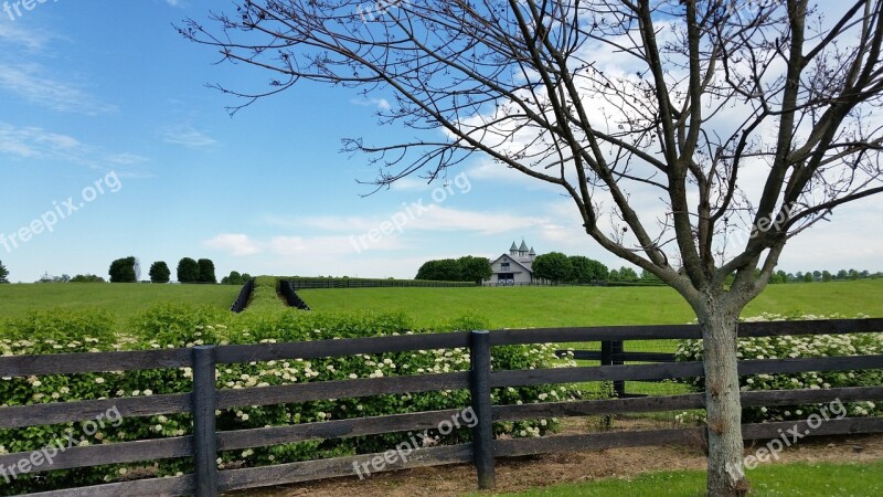 Horse Farm Kentucky Lexington Horse Farm