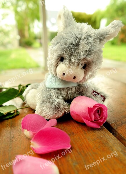 Donkey Teddy Bear Soft Toy Stuffed Animal Rose