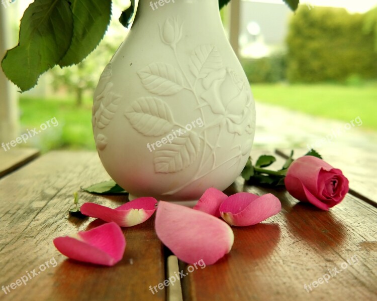 Rose Vase Table Bloom Decoration