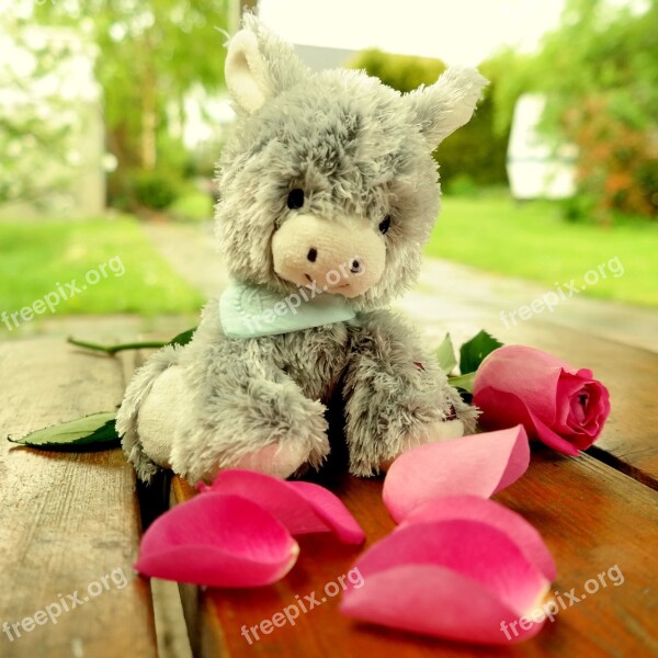 Donkey Teddy Bear Soft Toy Stuffed Animal Rose