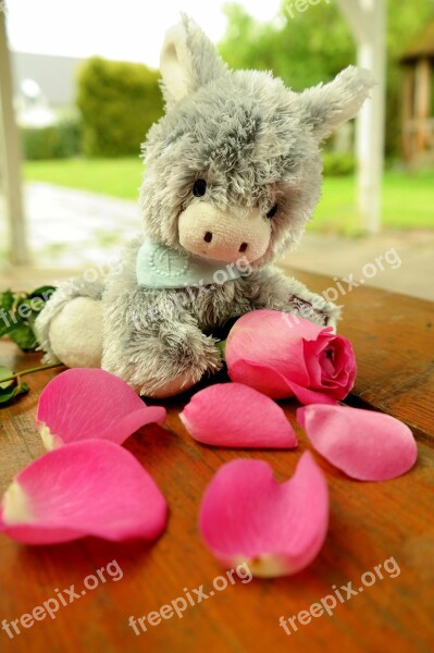 Donkey Teddy Bear Soft Toy Stuffed Animal Rose