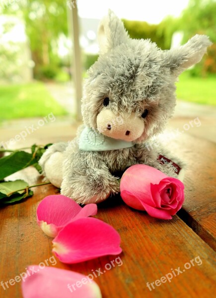 Donkey Teddy Bear Soft Toy Stuffed Animal Rose