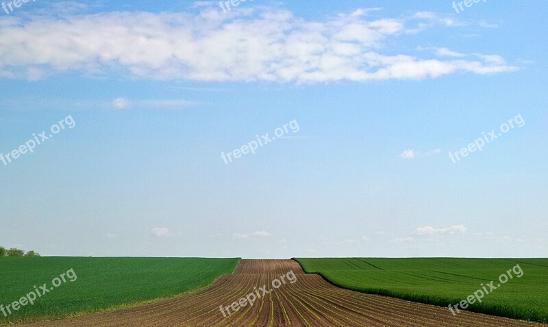 Sky Sowing Wheat Grain Free Photos