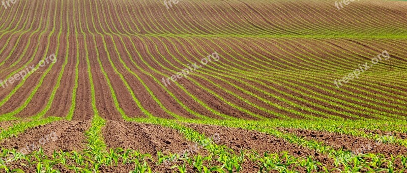 Green Brown Sowing Nature Free Photos