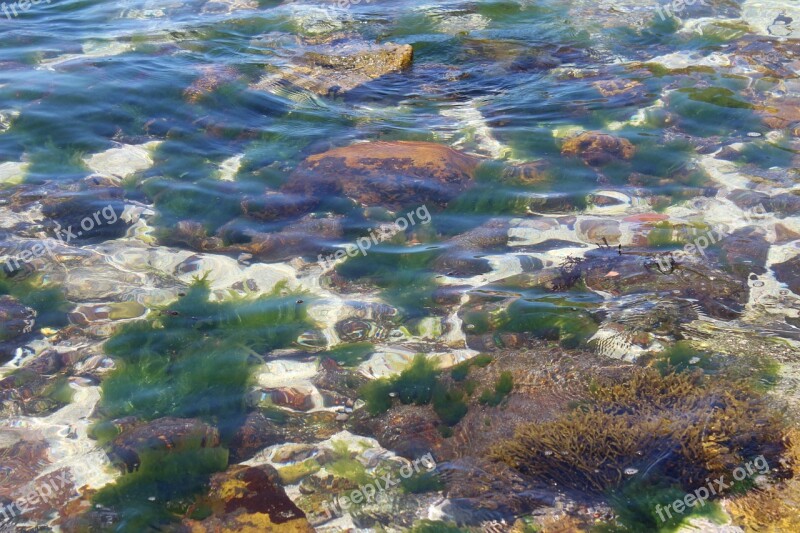 Beach Waves Sea Water Bottom