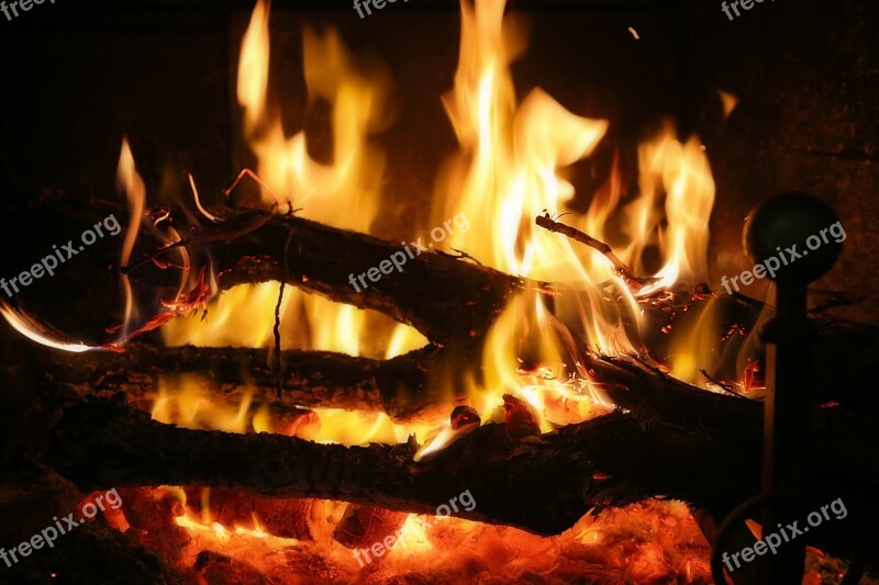 Fire Fireplace Wood Combustion Trees