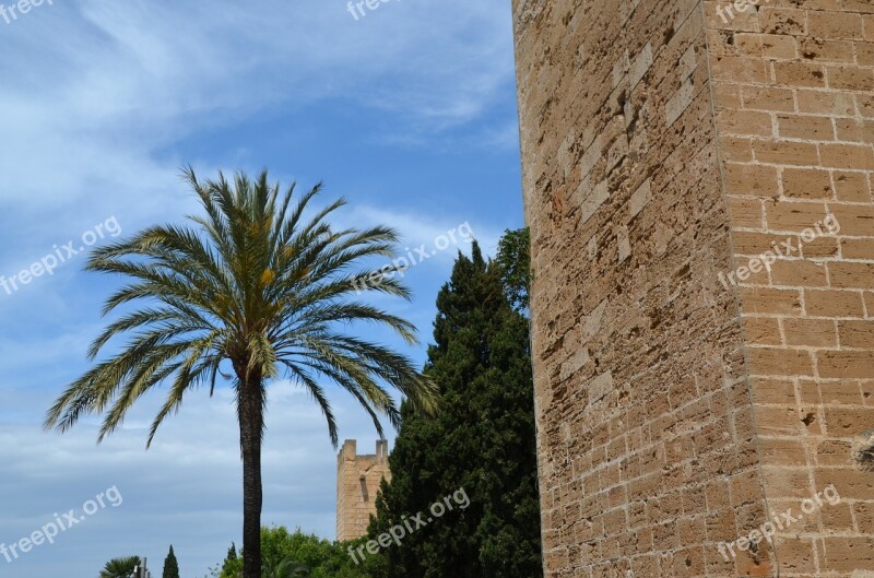 Wall Palm Architecture Tree Sky