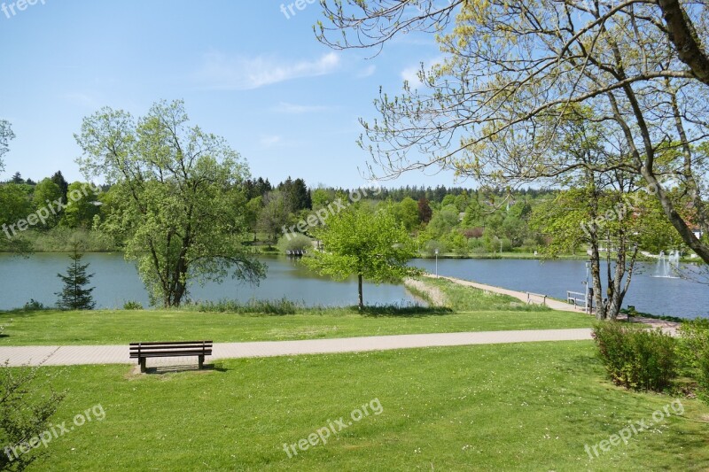 Park Grass Rush Green Pond