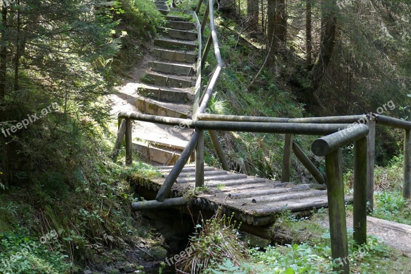 Bridge Wood Old Grumbach Pond Forest