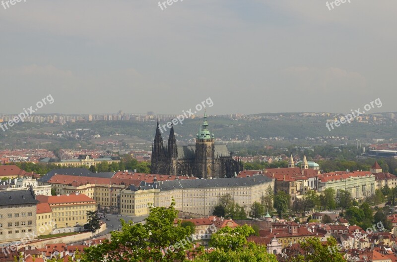 Hradcany Prague The Cathedral Free Photos