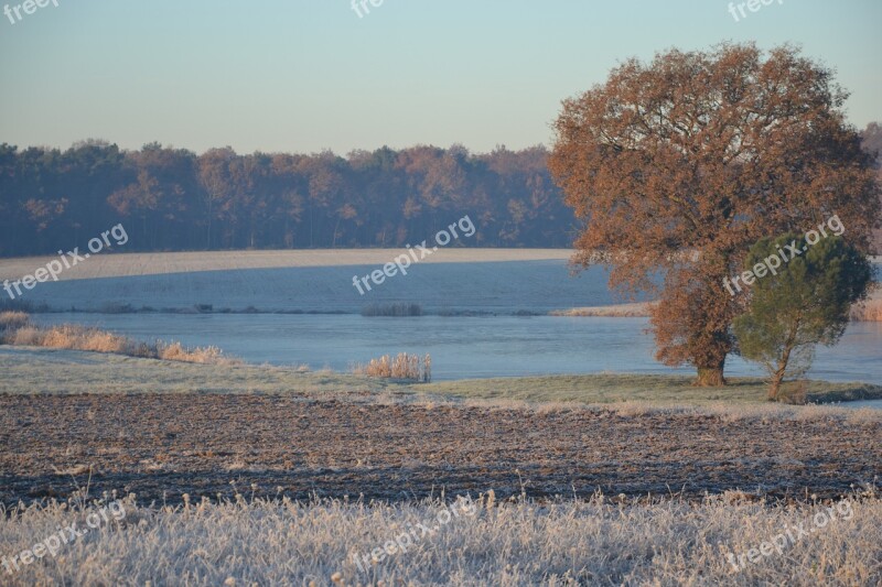 Indre Ponds Of The Brenne Tree Winter Gel