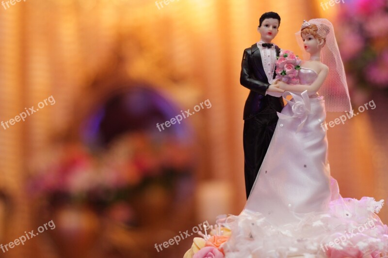 Top Of Cake Marriage Bride Groom Toys