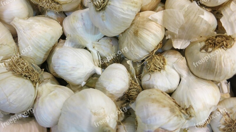 Raw Garlic Bulbs Fresh Seasoning Whole