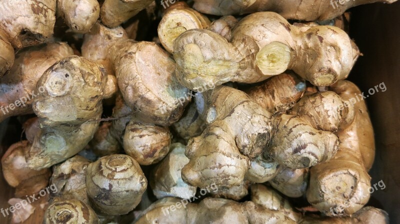 Ginger Fresh Raw Spice Herb