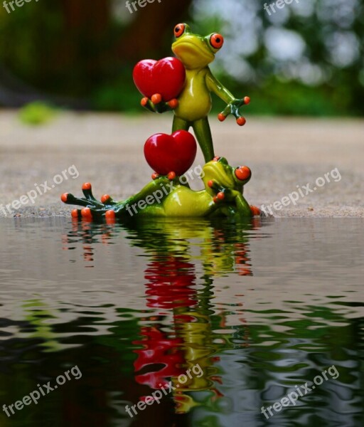 Frogs Pair Love Water Bank