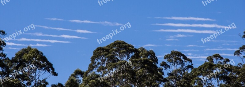 Clouds White Blue Linear Lines