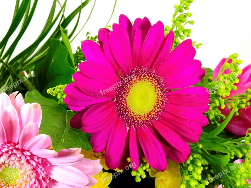 Bouquet Of Flowers Bouquet Flowers Thank You Colorful