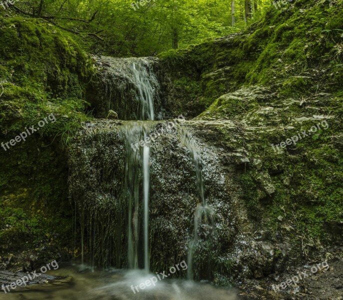 Valley Bolechowicka Nature Waterfall Stream Free Photos