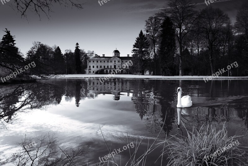 Concluded Favorite Rastatt Park Pond Swan