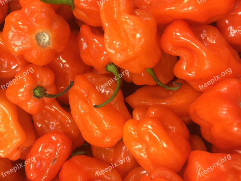 Habanero Pepper Spicy Snack Free Photos