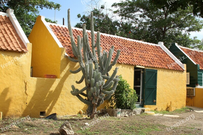 Cactus Curasao Building Yellow Architecture