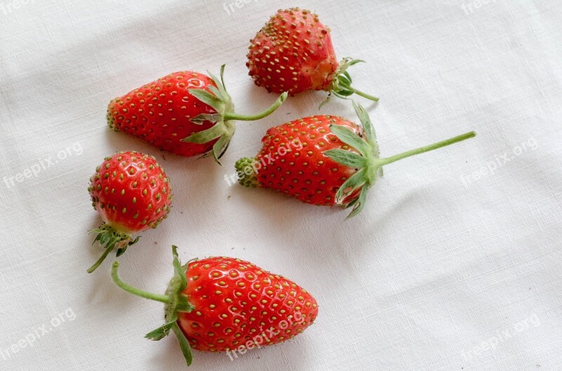 Strawberries Fruit Red Dessert Red Fruits