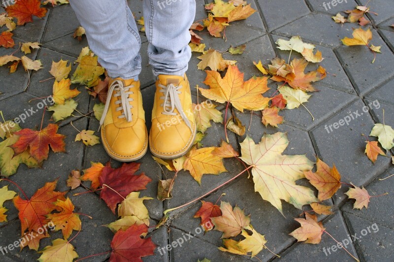 Shoes Yellow Autumn Leaves Street