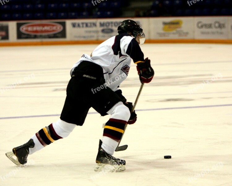 Hockey Hockey Puck Ice Game Ice Hockey