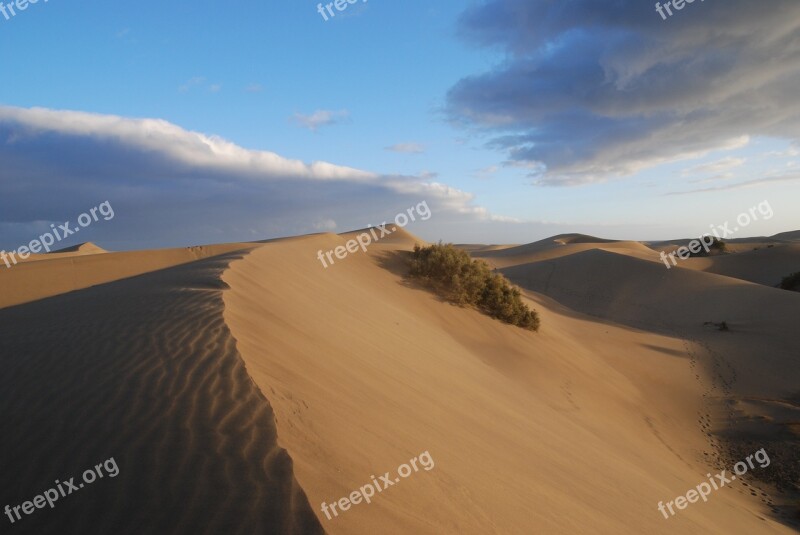 Desert Sand Dunes Sand Dunes Free Photos