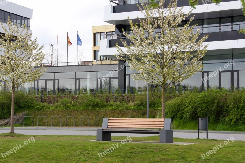 Bank Bench Office Center Tree