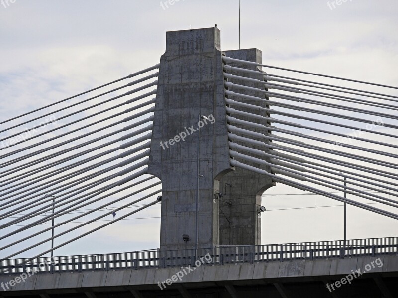 Pylons Concrete Suspension Wires Bridge Carrier Road