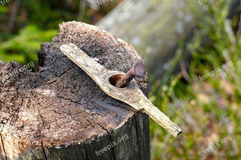 Nail Wood Nature Weathered Free Photos