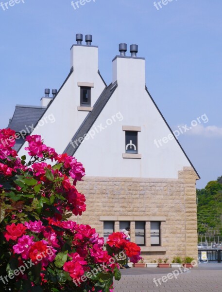 Verny Memorial France Rose Pink Red