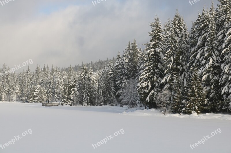 Trillium Lake Oregon Lake Frozen Lake Winter Lake Free Photos