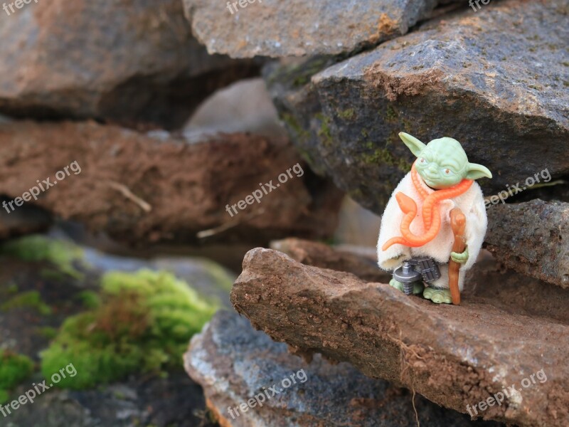 Yoda Star Wars The Force Toy Free Photos