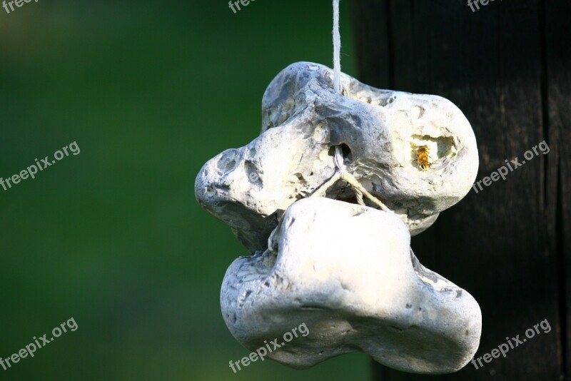 Hole In The Rocks Stones Hanging Summer Decoration