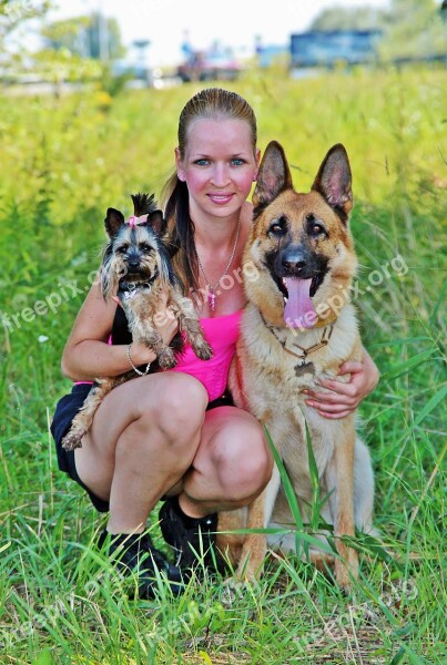 Woman Dogs Yorkie German Shepherd Free Photos