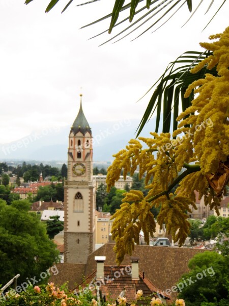 Vacations Italy South Tyrol Meran Palm