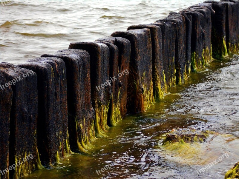 Breakwater Sea Seaweed Wood Old