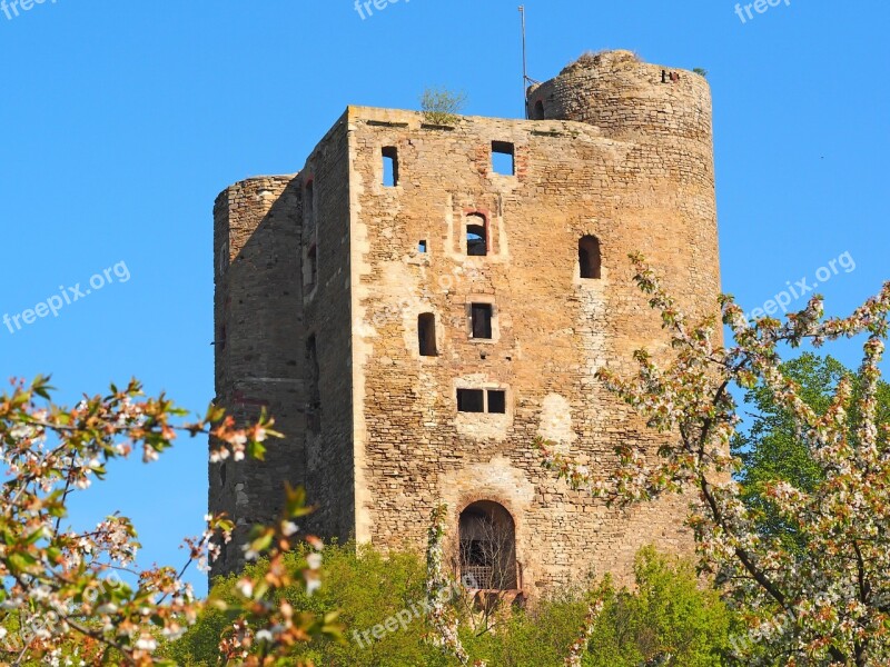 Old And Young 1000 Years Old Castle Ruin Of Arnstein Resin Flowers