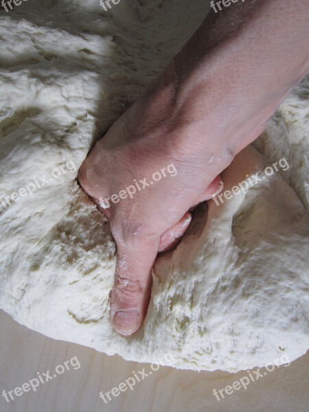 Dough Knead Bake Bread Bread Dough