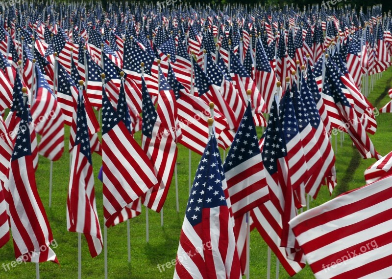 American Flags Cemetery Graves Veterans Remembrance