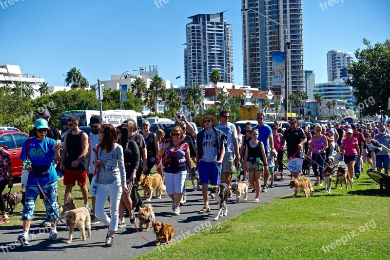 Parade Crowd March Dogs Procession