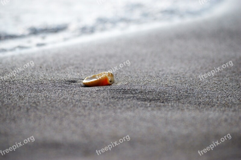 Shelf Sand Sea Beach Water