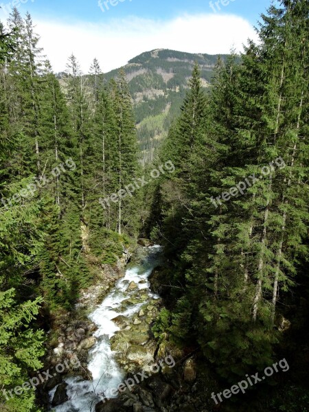 Tatry Mountains The High Tatras Landscape Torrent Mountain